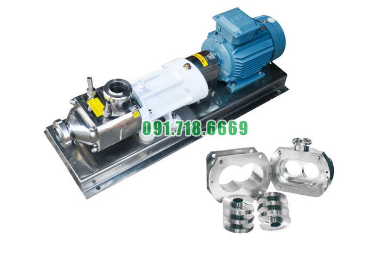 Bơm trục vít đôi vật liệu inox 304 đường kính 2.5 inch model FSL-10-40