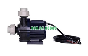 Bơm hóa chất TDM-200PERU-DC24 lưu lượng 48 L/m quay 3250 vòng/phút