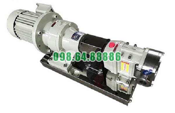 Máy bơm cánh khế 3RP-10 công suất 1.5kw lưu lượng 6 m3/h đường kính kết nối 32 mm