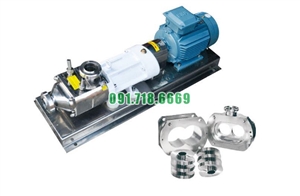 Bơm trục vít đôi vật liệu inox 304 đường kính 2.5 inch model FSL-10-40